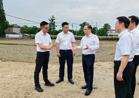 胡云赴眉山调研耕地；；；；；；；だ煤透弑曜寂┨锝ㄉ韫ぷ
