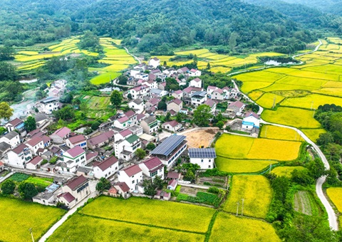 安徽省自然资源厅：130个乡镇耕地保唬；；；；；；こ杉ㄍ怀 获补偿激励1.3亿元